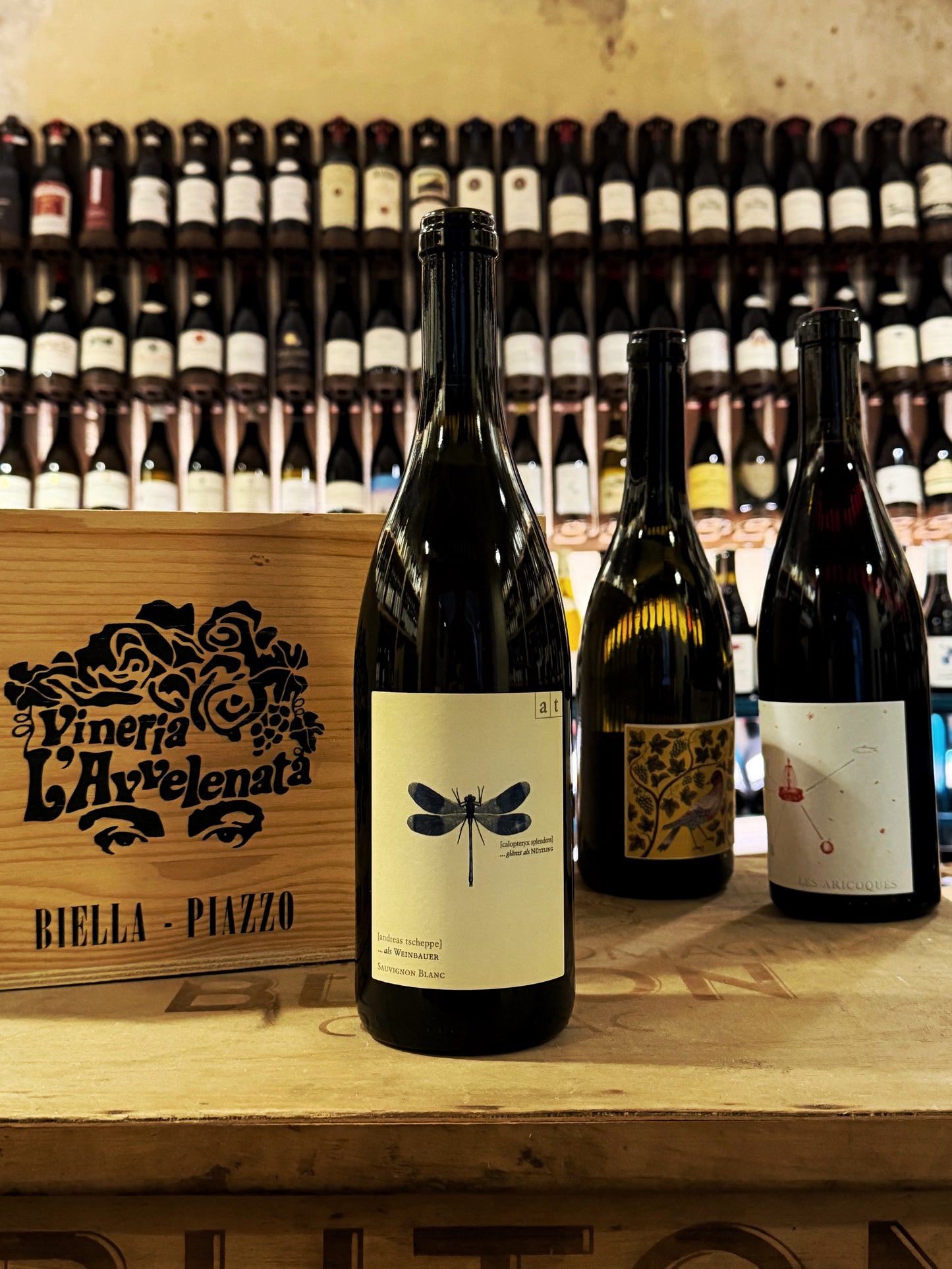 Andrea Tscheppe Blau Libelle