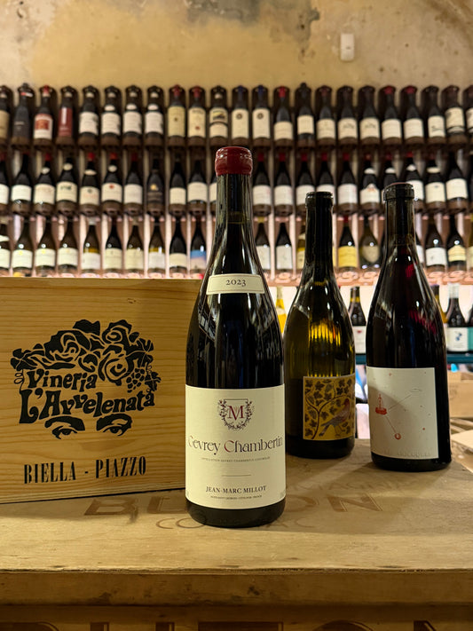Jean Marc Millot Gevrey Chambertin 2023