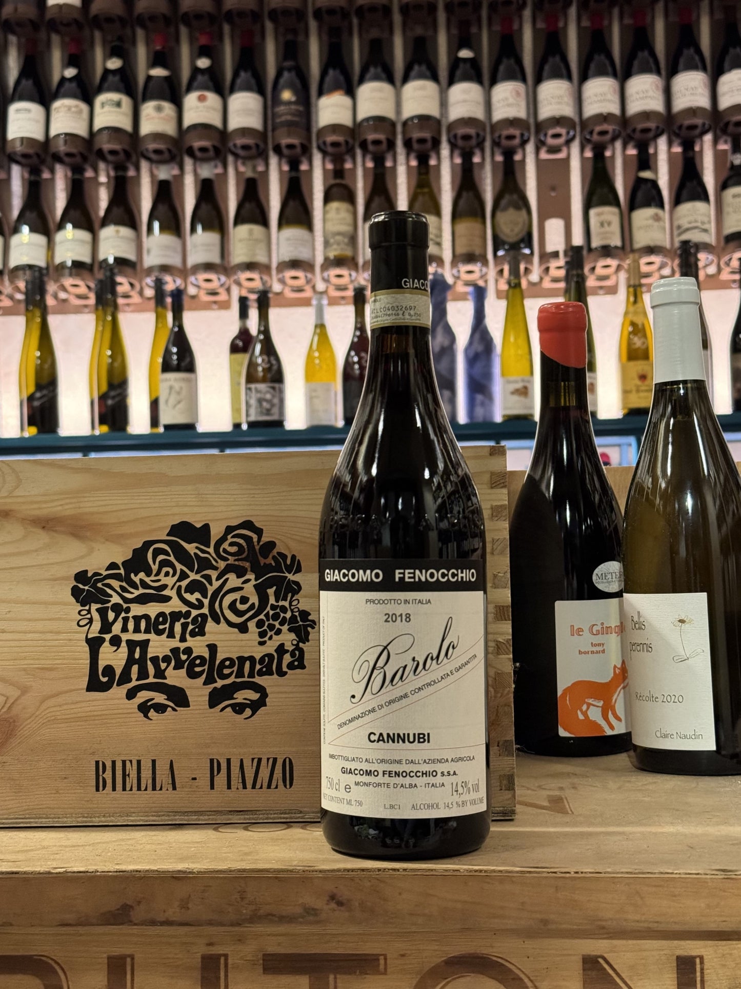 Giacomo Fenocchio Cannubi