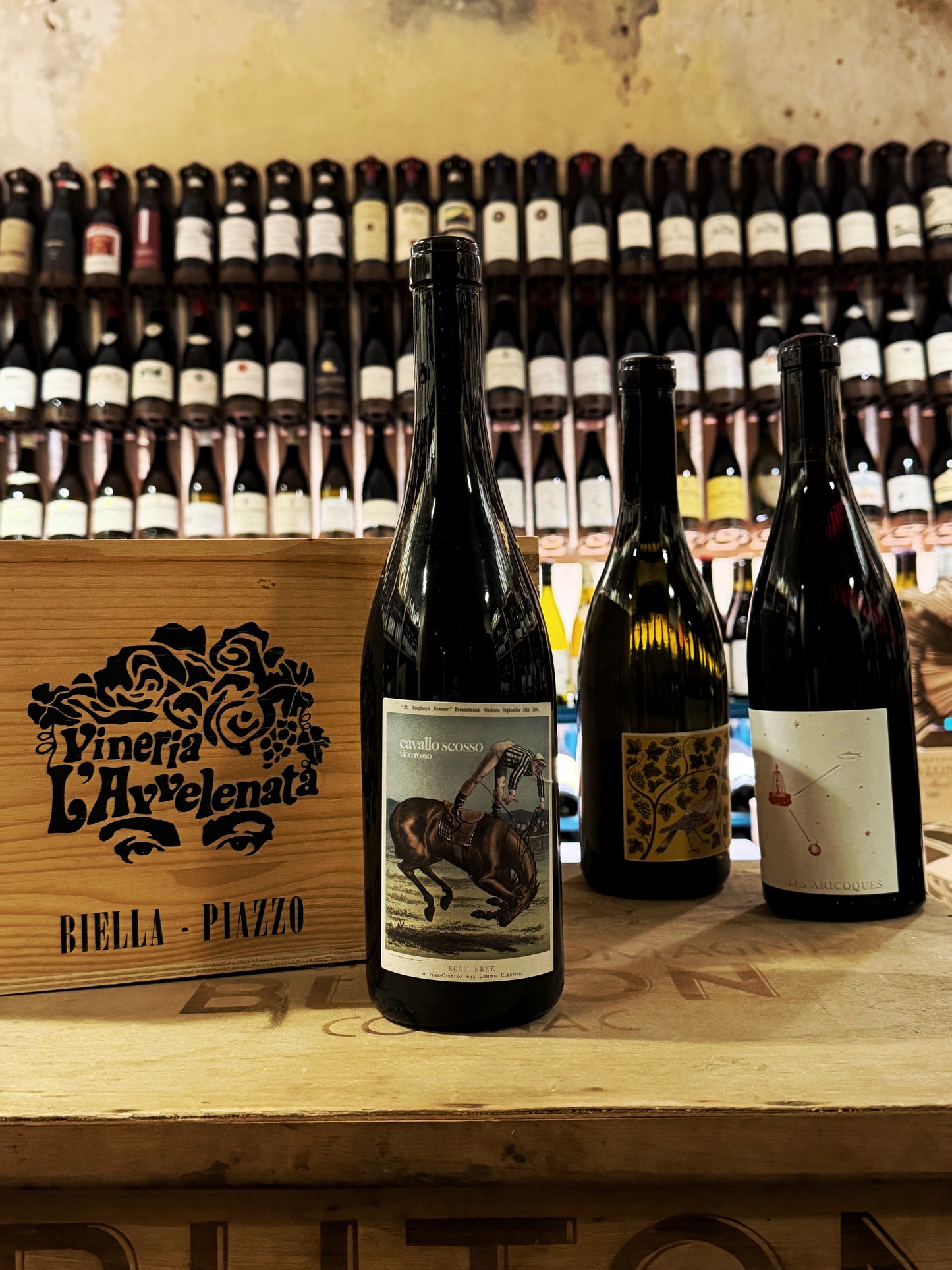 Philine & Lalu Cavallo Scosso