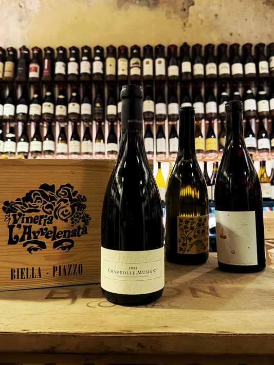 Amiot Servelle Chambolle Musigny 2023