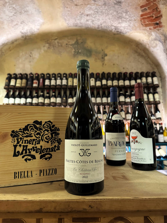 Joannes Violot-Guillermard HCDB