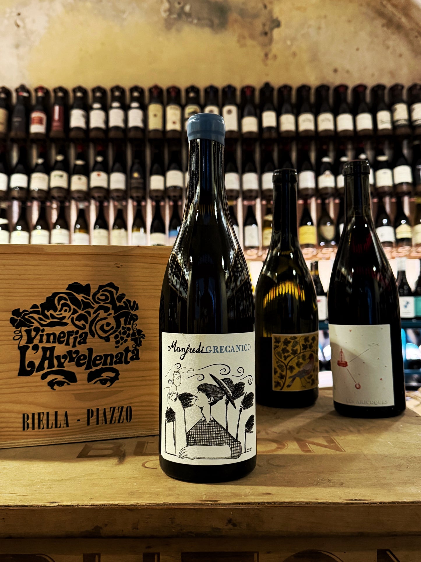 Manfredi Grecanico 2024