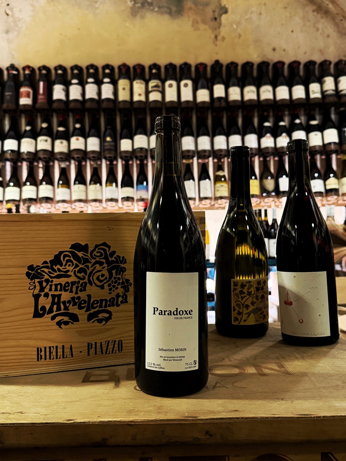 Sebastien Morin Paradoxe