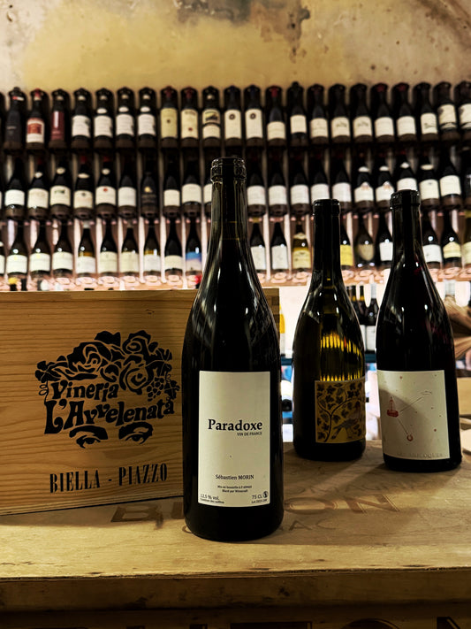 Sebastien Morin Paradoxe