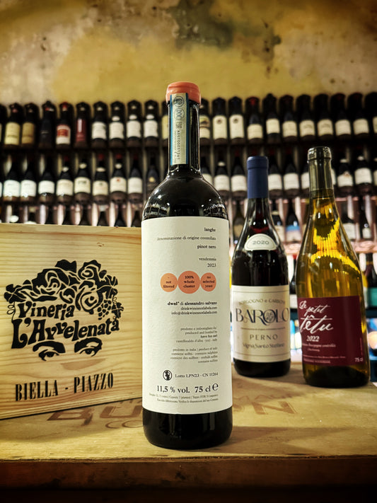 DWNL Langhe Pinot Nero 2023