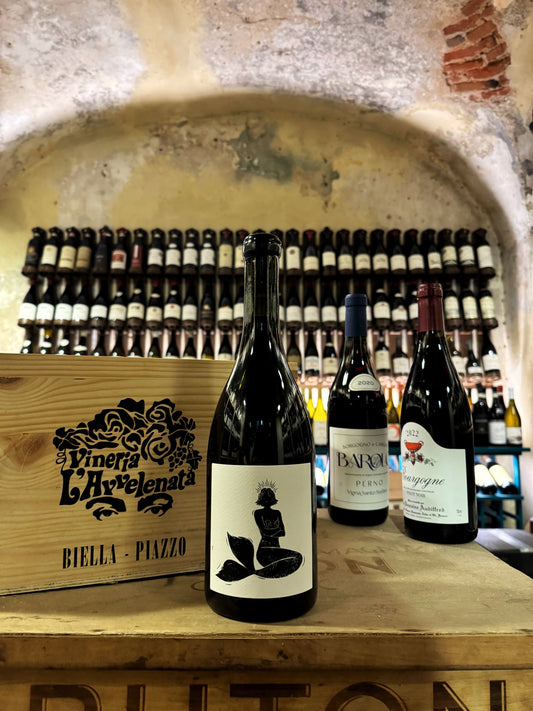 Vin Noé Guele d’Amour