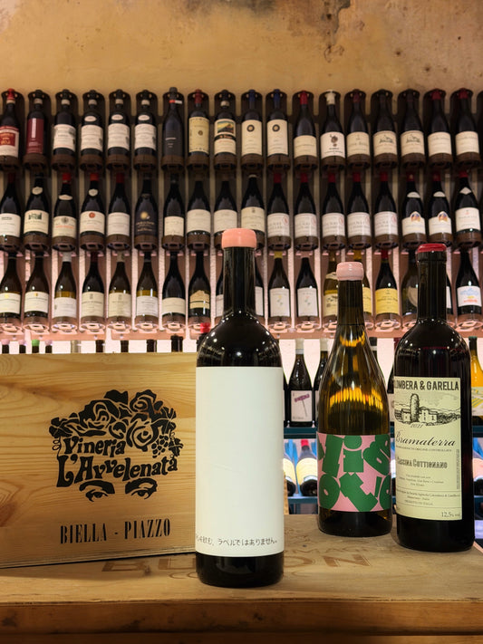 Dwnl Langhe Pinot Nero 2024