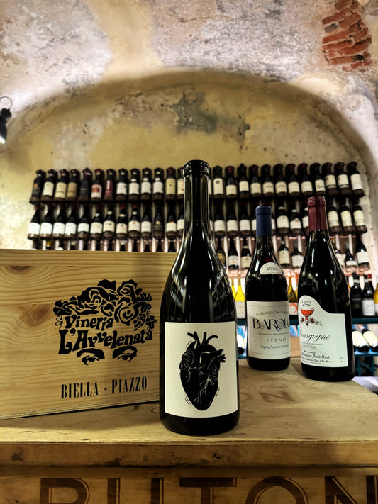 Vin Noé Amour Vache 2023