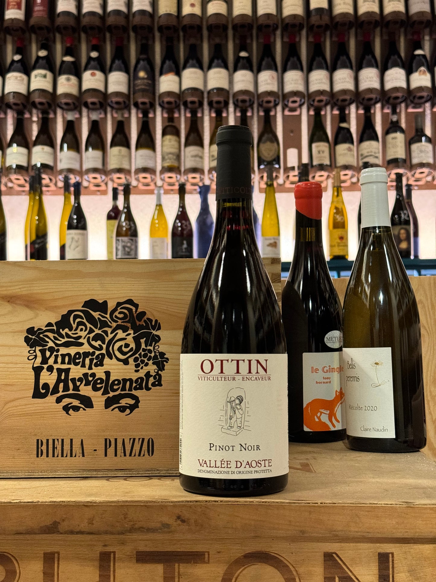 Ottin Pinot Noir 2022